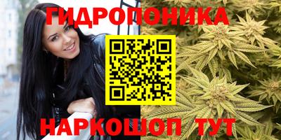 ГАЛЛЮЦИНОГЕННЫЕ ГРИБЫ Камышлов