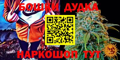 ГАЛЛЮЦИНОГЕННЫЕ ГРИБЫ Камышлов