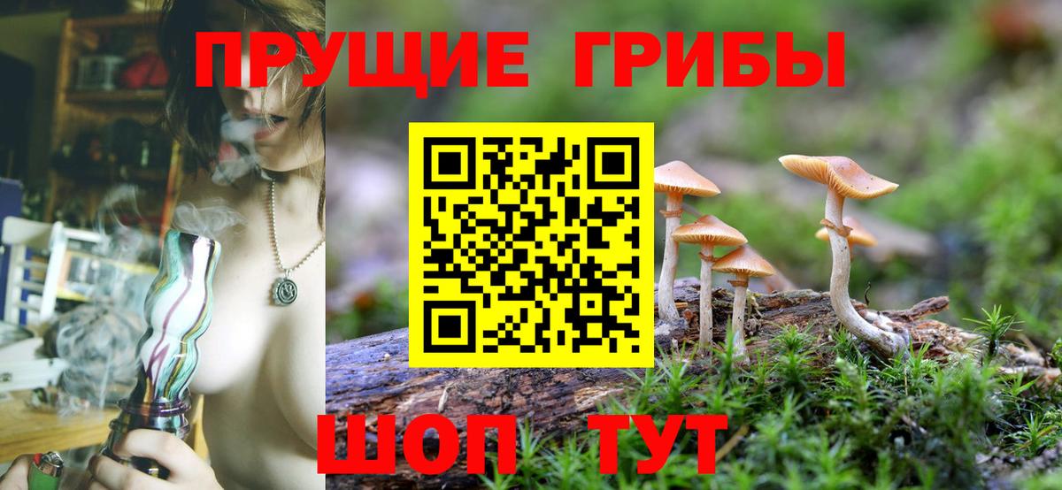 Псилоцибиновые грибы MAGIC MUSHROOMS  Вход с VPN  Ялта 